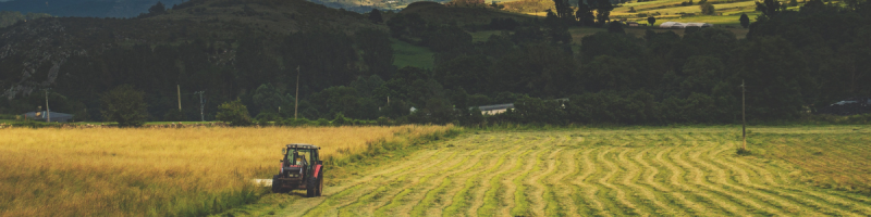 Hay field halfway mowed by a tractor.
