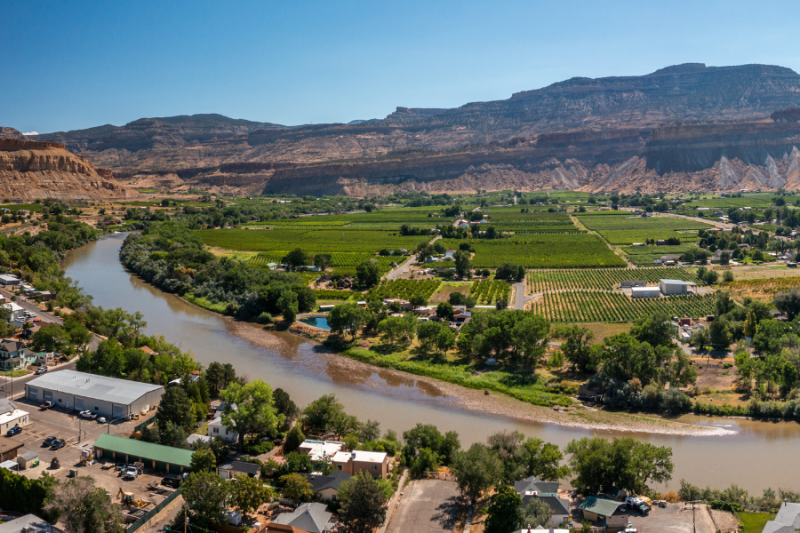 Aerial view of Palisade featuring green vineyards and farmland bordered by winding river. Small buildings and homes are scattered across the foreground.