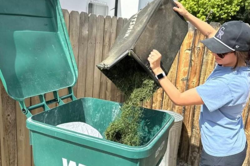 Woman pouring grass clippings from lawn mower bag into green Waste Management bin.