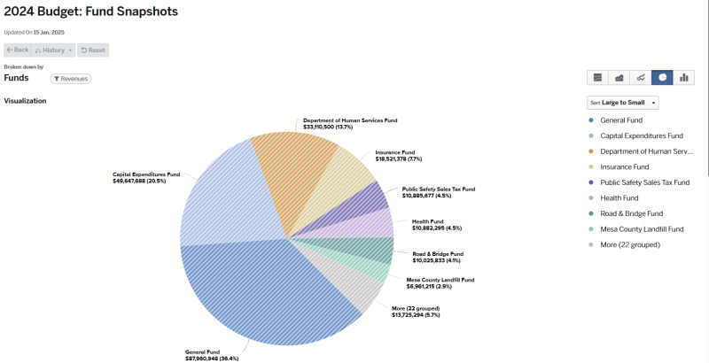 Pie chart graph for 2024 Budget Fund Snapshots broken down by Funds - Revenue (graph data on page).