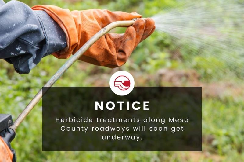 Hand-wearing orange gardening glove sprays herbicides with a cream-colored hose, the Mesa County logo, and white text reading, Herbicide treatments along Mesa County roadways will soon get underway. 