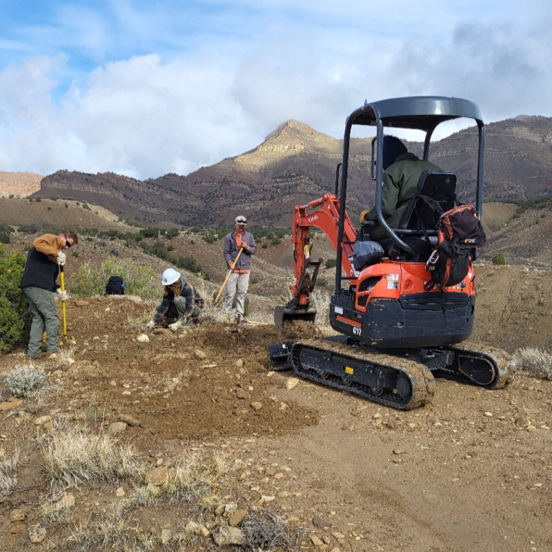 The Mesa County Trail Crew comprised of 4 people are closing a section of trail that was rerouted. One person is operating a mini excavator machine and the other 3 people are using tools and moving dirt, sticks, and rocks to naturalize the closed route.