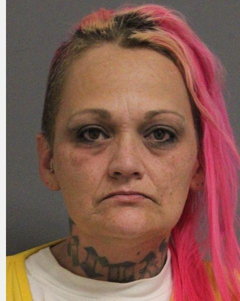 Adult female booking photo of Rachelle Coan.