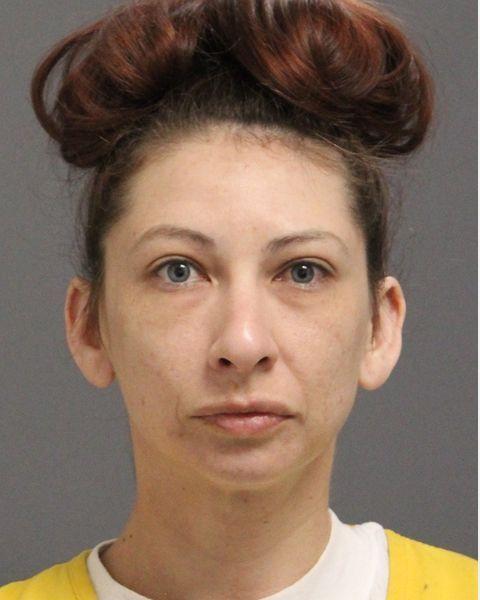Adult female booking photo of Michelle Nielson.