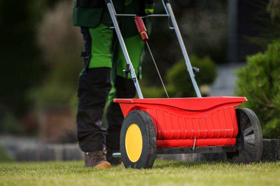 Red push spreader on grass.