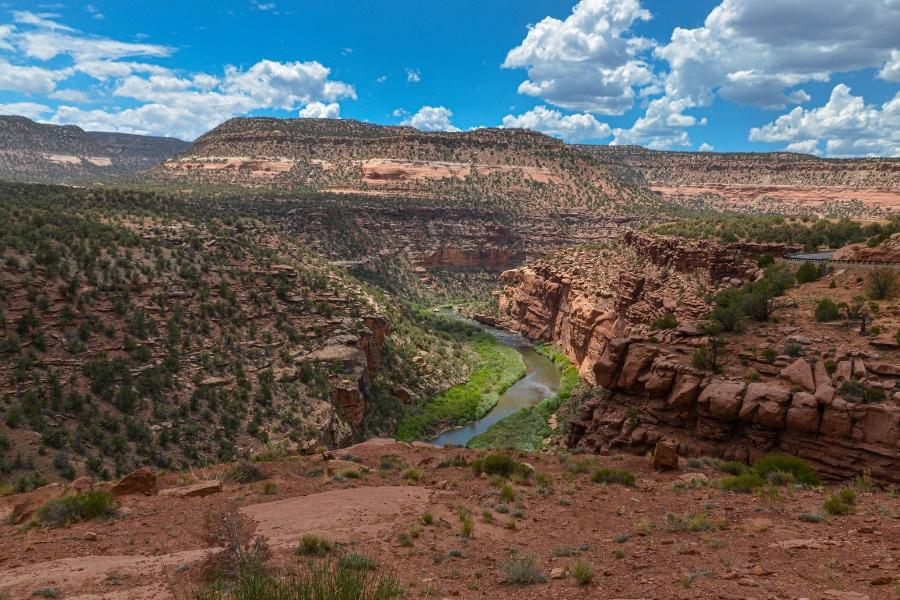 Dolores Canyons in Mesa County, CO.