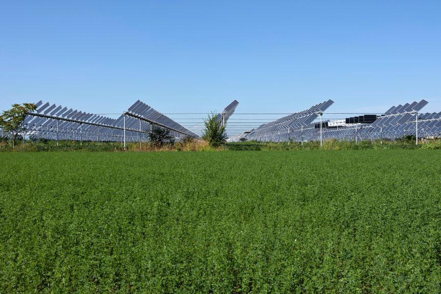 Solar garden on green farm land.