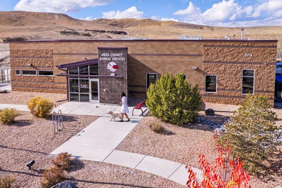 Brick building with white sign reading, "Mesa County Animal Services," and a red and white Mesa County Animal Services logo, with a woman walking her dog outside the building. 