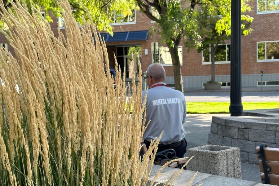 Back of man sitting on a bench with grey shirt that has white text on it reading mental health next to a tall tan and green grass plant. 