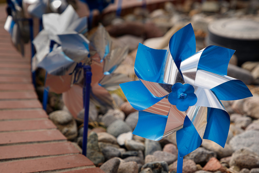 Blue pinwheel garden