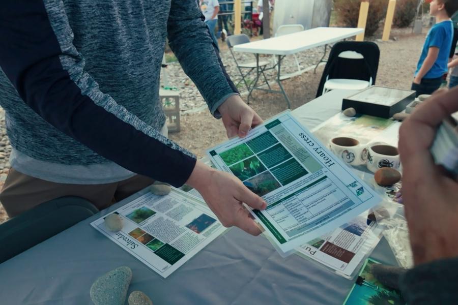 Hands holding a noxious weed fact sheet. 