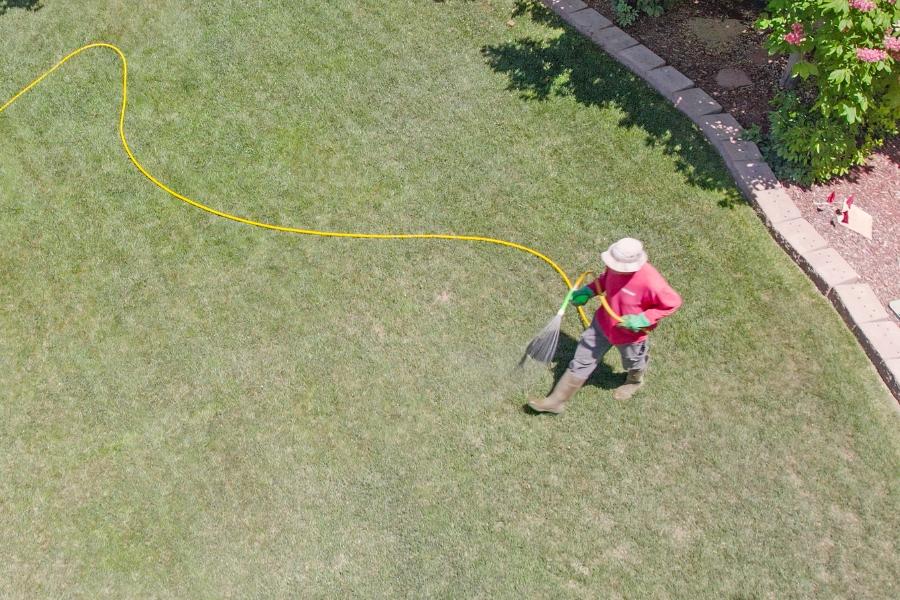 Aerial view of a person spraying pesticides on grass with a yellow hose. 