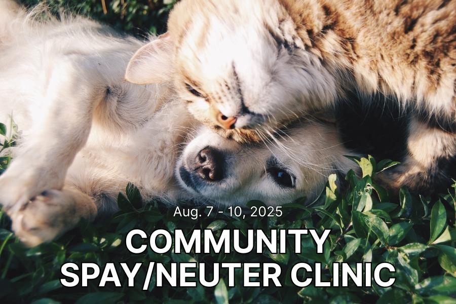 A dog and a cat laying on grass together with text reading, Aug. 7-10, 2025 community spay/neuter clinic.