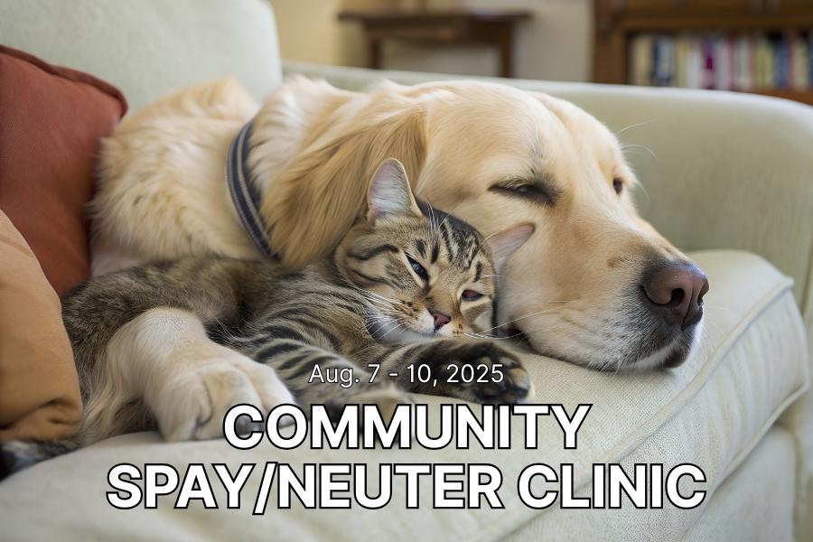 A dog and a cat together with text reading, Aug. 7-10, 2025 community spay/neuter clinic.