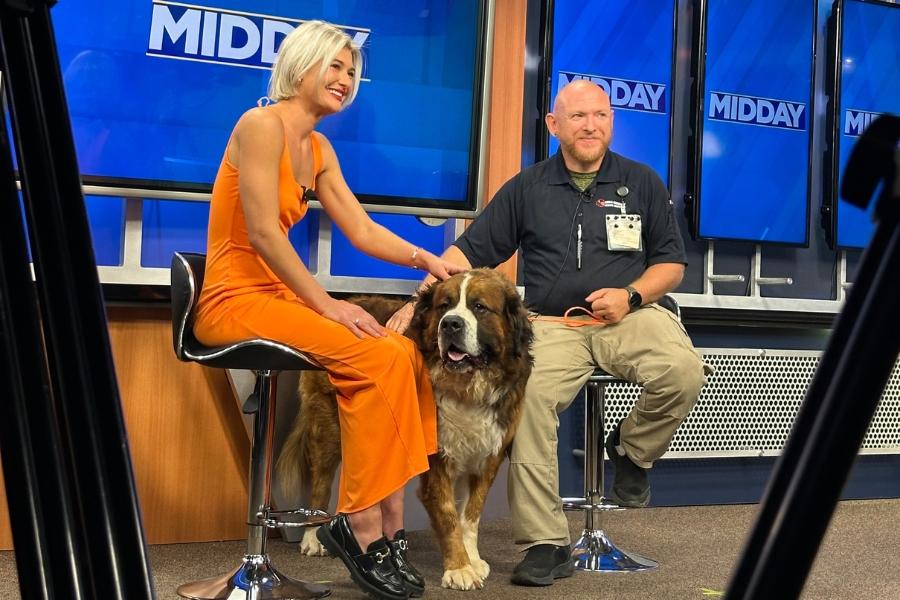 Two people and one dog on a news set.
