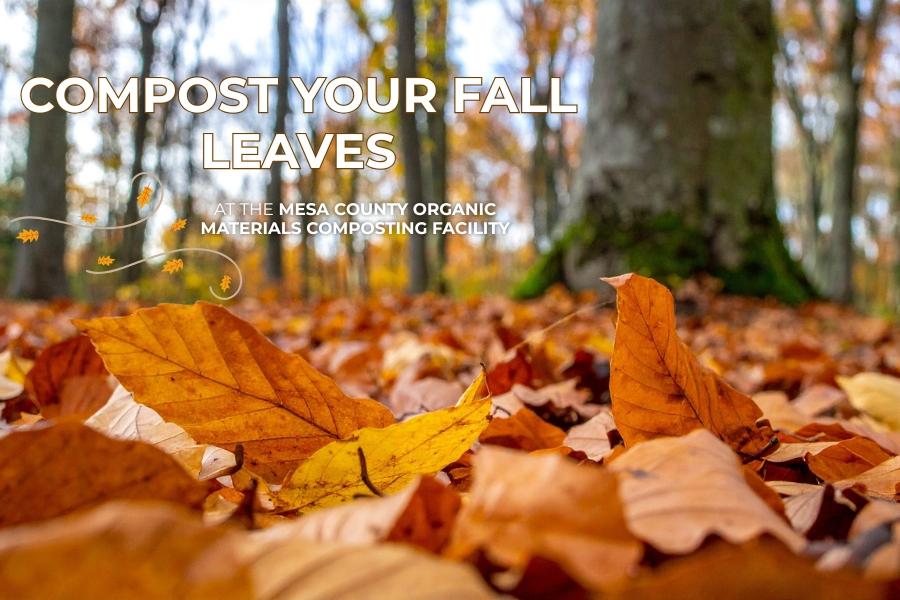 A pile of orange leaves with text reading, compost your fall leaves at the Mesa County Organic Materials Composting Facility. 