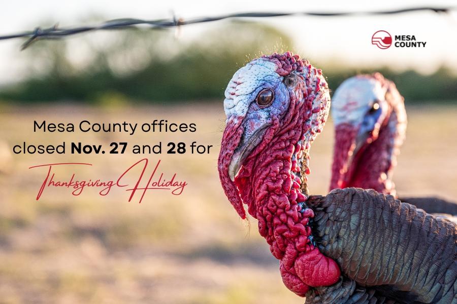 Two turkeys with text reading Mesa County offices closed Nov. 27 and 28 for Thanksgiving Holiday. 