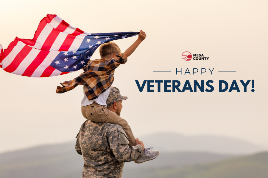 A child on a person's shoulders who's wearing a military uniform, holding an American flag,  with text reading Happy Veterans Day!