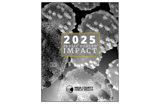 A graphic with the text "2025 PUBLIC HEALTH IMPACT" superimposed over a detailed, grayscale illustration of multiple virus particles. The "Mesa County Public Health" logo is at the bottom.