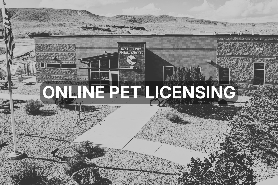 Black and white photo of the Mesa County Animal Services building with the text “online pet licensing” on it.
